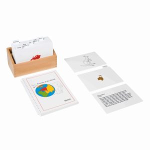 Montessori geography biology material Animals of the world - Nienhuis Montessori