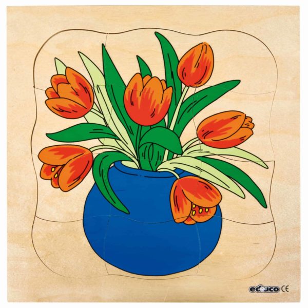Puzzle croissance/cycle de vie tulipe - Educo