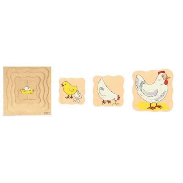 Growth/Life cycle puzzle chicken - Educo