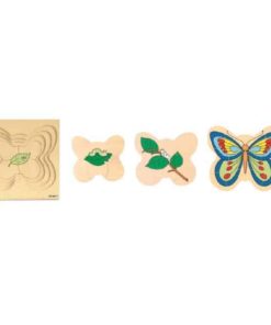 Puzzle croissance: papillon - Educo