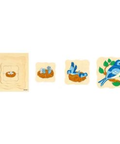 Growth/Life cycle puzzle bird - Educo