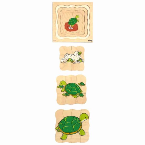 Growth/Life cycle puzzle turtle - Educo