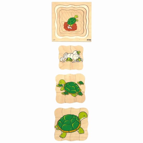 Puzzle croissance/cycle de vie tortue - Educo