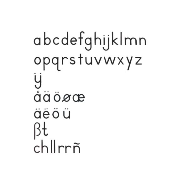 Small movable alphabet: international print, black - montessori language materials - Nienhuis Montessori