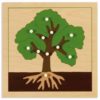 Botany puzzle: tree - Nienhuis Montessori