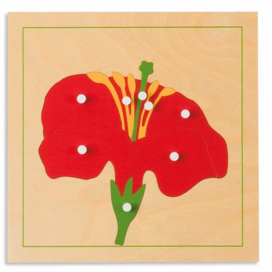 Botanisches Puzzle: Blume - Nienhuis Montessori