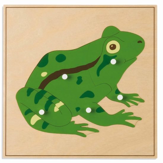 Montessori zoology biology material Animal puzzle: frog - Nienhuis Montessori