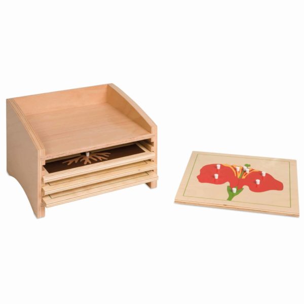 Cabinet des puzzles de botanique: 4 compartiments - Nienhuis Montessori