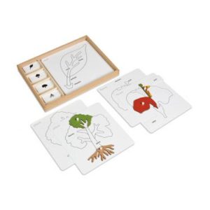 Set d'activité de puzzle de botanique - Nienhuis Montessori