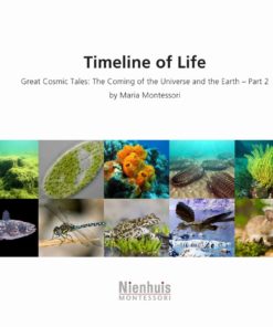 Timeline Of Life - Nienhuis Montessori