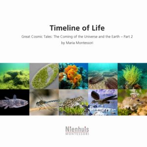 Booklet: The timeline of life - Nienhuis Montessori