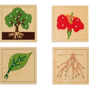 Puzzle de botanique - Nienhuis Montessori