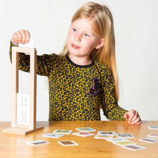 Life Cycles Educo Teia Education Play