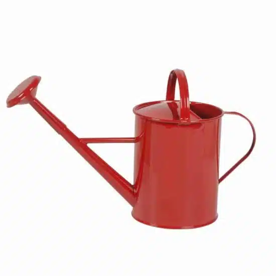 Small Watering Can (Red) - Nienhuis Montessori