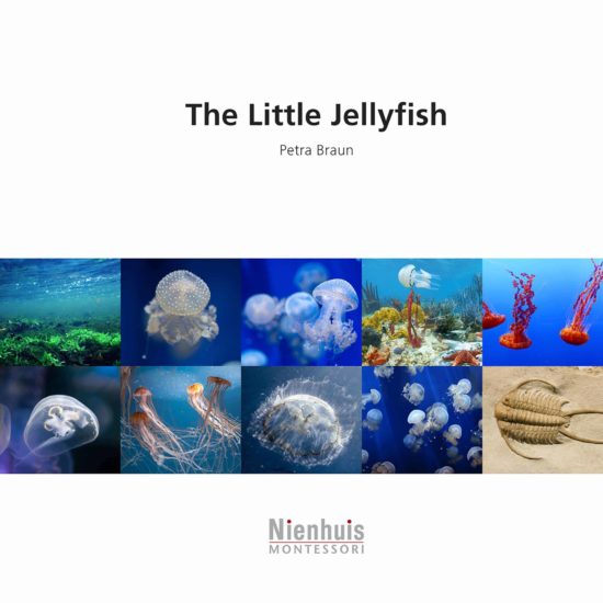 Booklet: the little jellyfish - Nienhuis Montessori