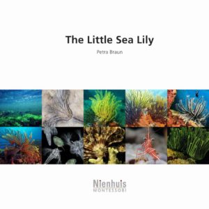 Livret: le petit lys de mer - Nienhuis Montessori