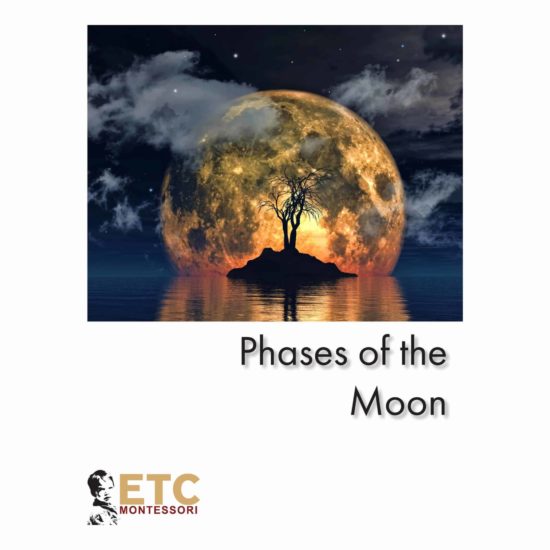 Phases Of The Moon Nomenclature - Nienhuis Montessori