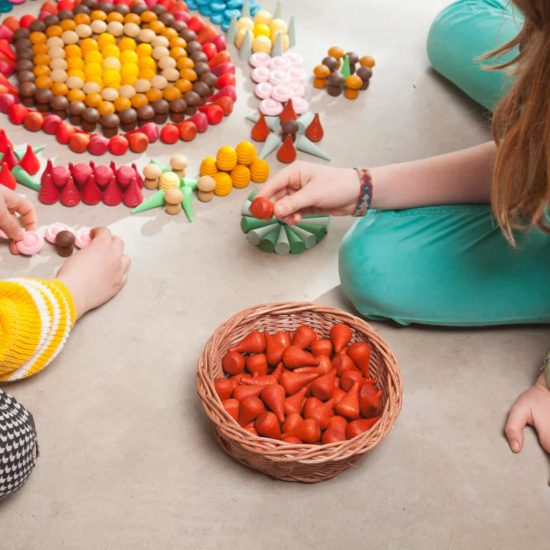 Sorting Tray: Small  Nienhuis Montessori