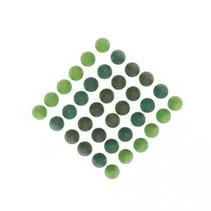 Mandala green trees - Grapat