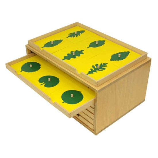 Botany leaf cabinet - Gonzagarredi Montessori