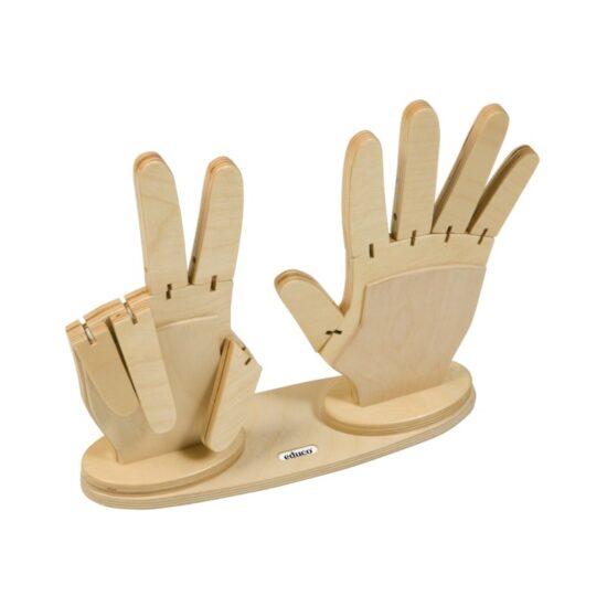 Counting hands – Educo