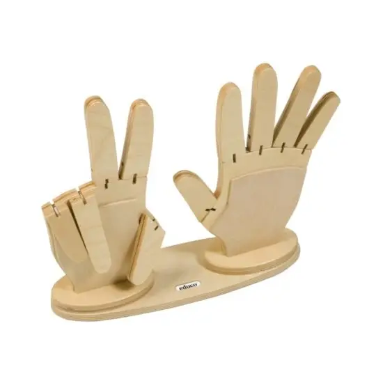 Counting hands – Educo