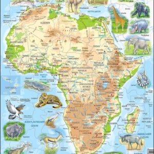 Maxi puzzle Africa with animals A22 - French - Larsen