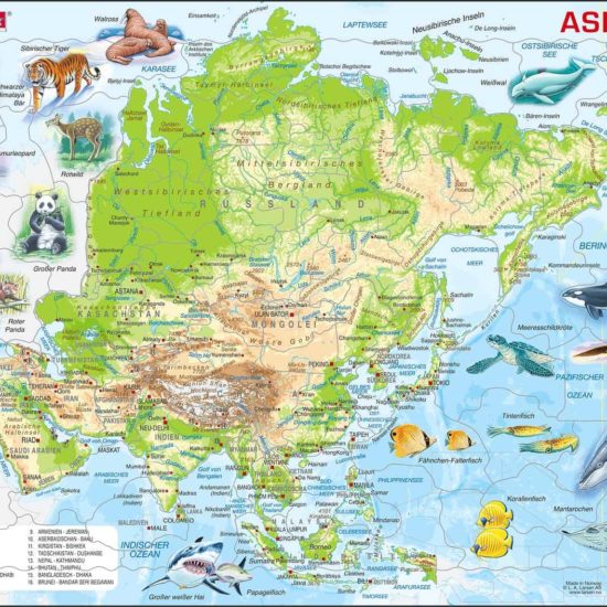 Maxi puzzle Asia with animals A30 - German - Larsen