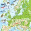 Maxi puzzle Europe physical map: German - Larsen