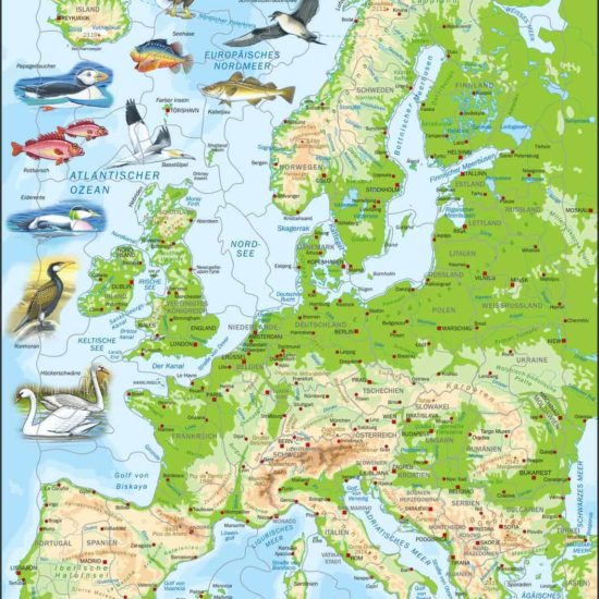 Maxi puzzle Europe physical map: German - Larsen
