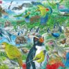 Maxi puzzle New Zealand wildlife - Larsen