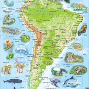 Maxi puzzle South America with animals A25 - German - Larsen