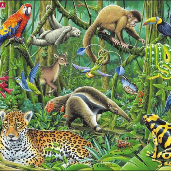 Maxi puzzle South American rainforest - Larsen