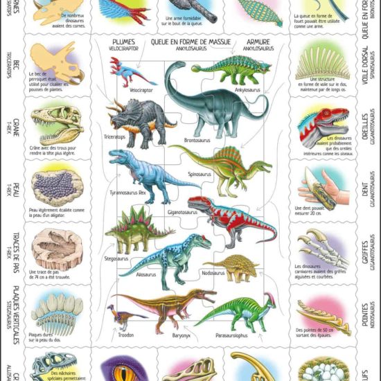 Maxi puzzle fascinating dinosaurs: French - Larsen