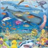 Maxi puzzle marine life in the Pacific ocean - Larsen