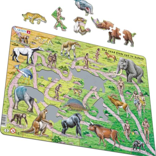 Maxi puzzle the road from ape to human: English - Larsen