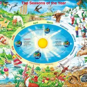 Maxi puzzle the seasons of the year: English - Larsen