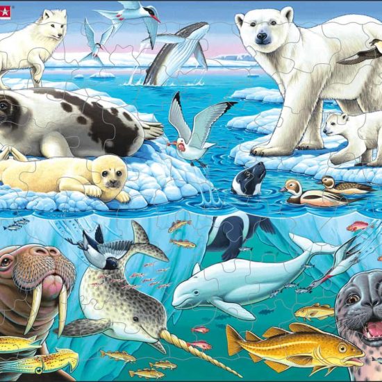 Maxi puzzle: wildlife on and around an arctic iceberg - Larsen
