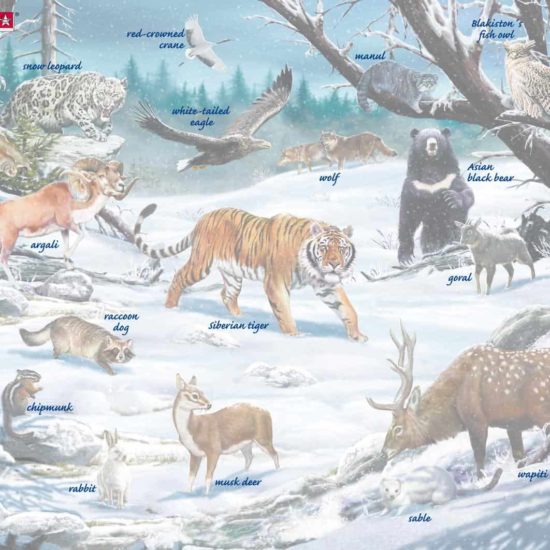 Maxi puzzle winter wildlife in Siberia and Northeast Asia - Larsen