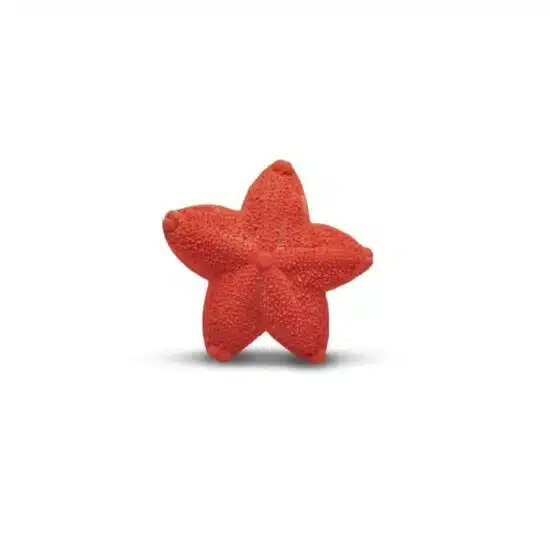 Jouet biologique pour bébé Asteroidea jouet dentition - Lanco Barcelona
