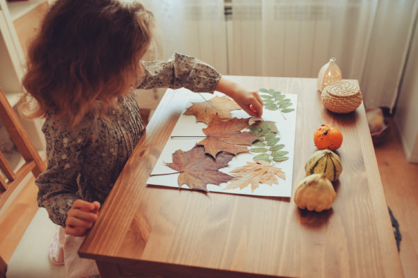 Autumn themed toys - Learning about Autumn and the seasons