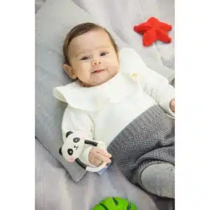 Organic Baby Toy Panda Kori Natural Teether - Lanco