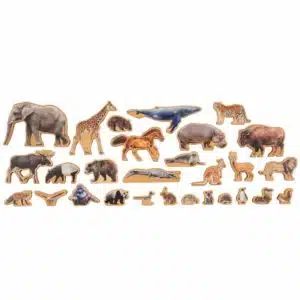 Montessori geography material The animal continent box Nienhuis Montessori