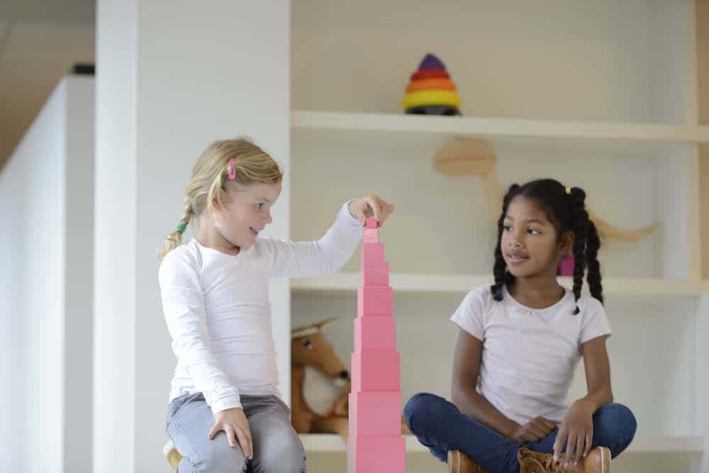Montessori prepared environment Must-Have Montessori Materials For Home Learning_Nienhuis Montessori PInk Tower
