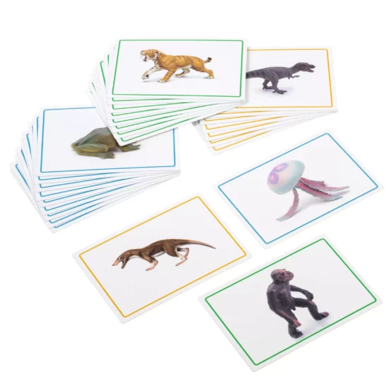 history timeline material Cards and book for the black ribbon - Nienhuis Montessori
