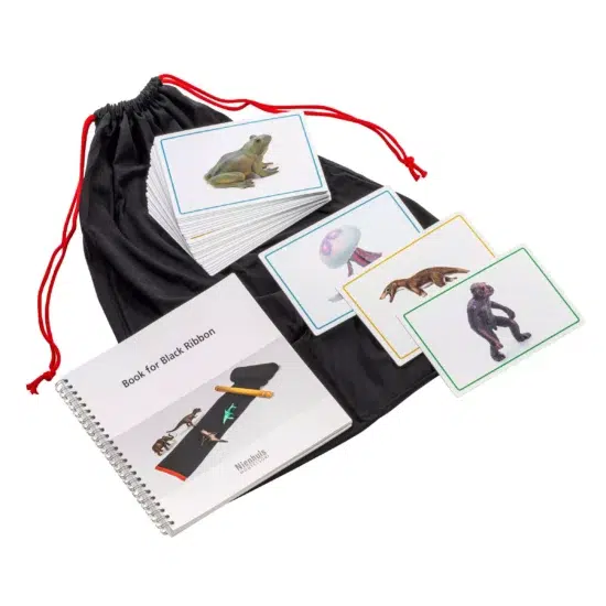 history timeline material Cards and book for the black ribbon - Nienhuis Montessori