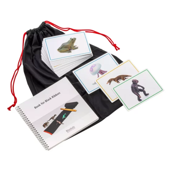 history timeline material Cards and book for the black ribbon - Nienhuis Montessori