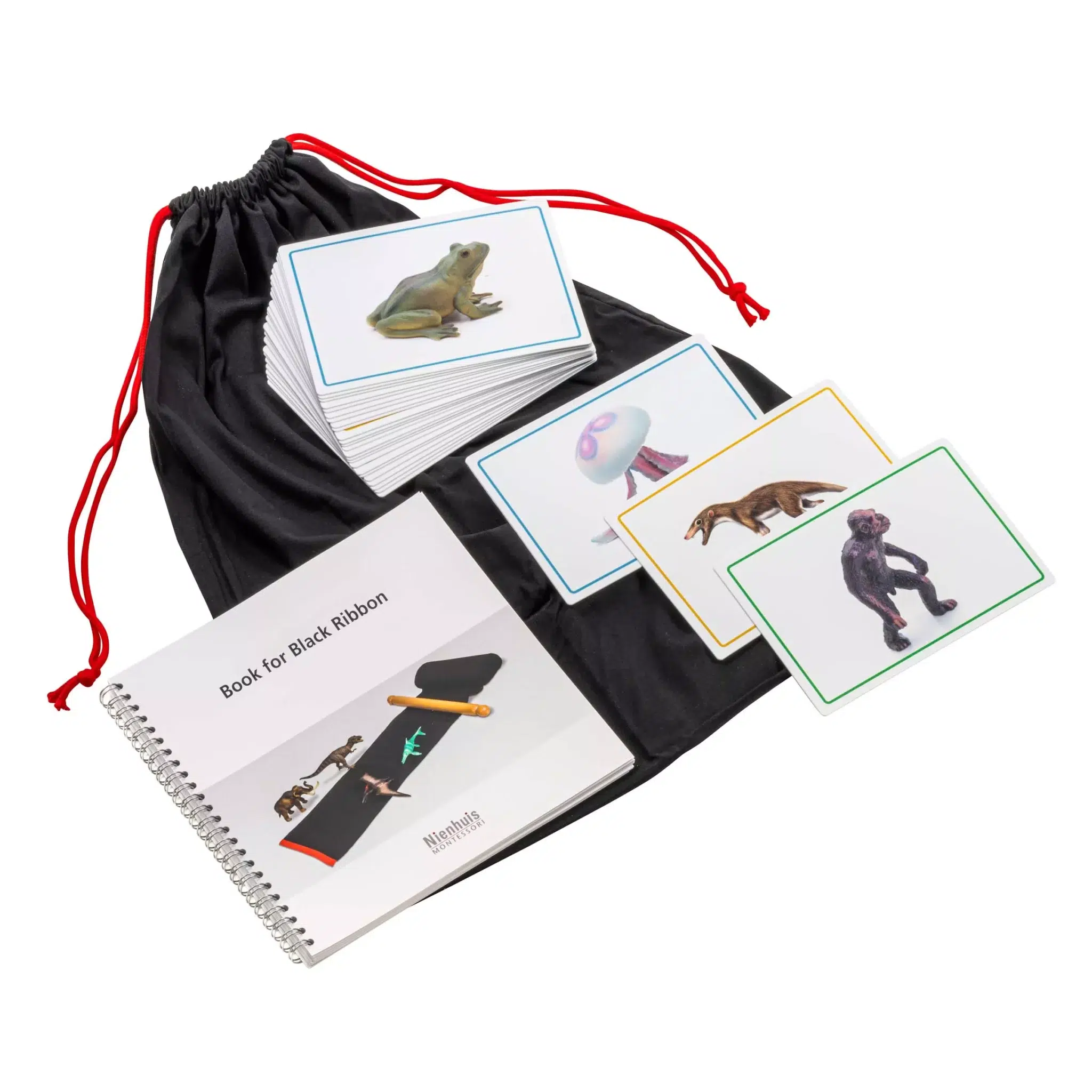 history timeline material Cards and book for the black ribbon - Nienhuis Montessori