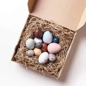 A dozen handmade wooden bird eggs in a box - Moon Picnic & Erzi