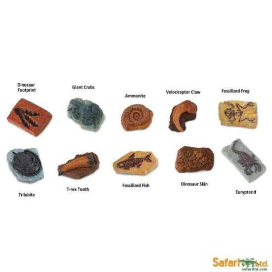 Ancient fossils TOOB / Realistic miniature insect figurines Montessori learning toy - Safari Ltd